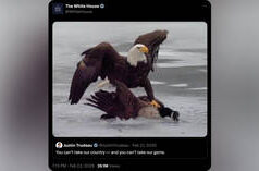 Trump reconhece que anexação canadense é improvável – autor