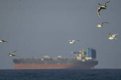 EUA vão ‘atirar e matar’ barcos iranianos que colocam minas no Estreito de Ormuz – Trump