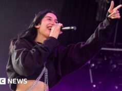 ‘Como um tapa na cara’: a estrela do pop alternativo Julia Wolf se tornando viral