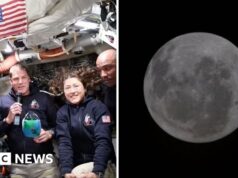 ‘Absolutamente espetacular’: tripulação do Artemis II vê pela primeira vez o lado oculto da Lua