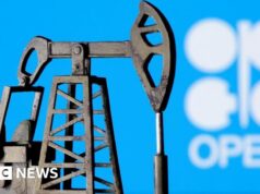 Em cinco gráficos – Como a saída dos Emirados Árabes Unidos poderia afetar a influência da Opep sobre o preço do petróleo