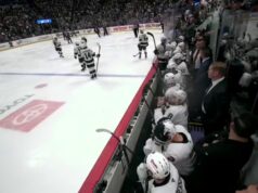 À VOIR: Des partidários do Colorado un peu trop excités brisent la vitre derrière le banc des Kings