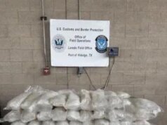 Metanfetamina avaliada em US$ 8,1 milhões encontrada em remessa disfarçada de telhas