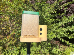 Ofertas do Dia das Mães em alimentadores inteligentes para pássaros (2026)