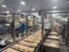 Chef Robotics escapou do cemitério de cozinha de robôs e diz que está prosperando – aqui está o porquê