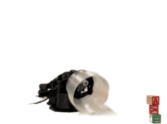 Apple sob Ternus: o que vem a seguir para a estratégia de {hardware} da gigante da tecnologia