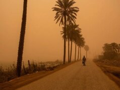 Crise de Ormuz estimula corredor comercial de US$ 24 bilhões no Iraque à medida que as rotas do Golfo mudam