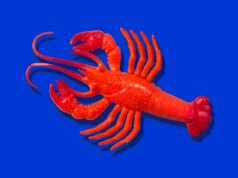 Anthropic diz que os assinantes do Claude Code precisarão pagar mais pelo suporte do OpenClaw