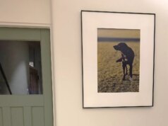 Análise do InkPoster Tela 28.5: um porta-retratos digital luxuoso para casa