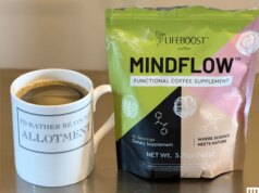 O melhor café com cogumelos, testado e revisado pela WIRED (2026)