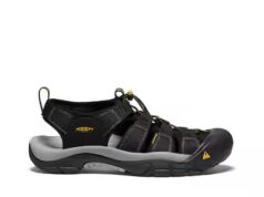 Sugestões para a prática do plein air