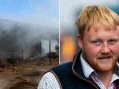 A estrela de Clarkson’s Farm, Kaleb Cooper, revela uma foto chocante depois que um incêndio atingiu o celeiro