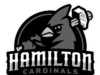 Relatório: Hamilton Cardinals em briga authorized com St. Louis Cardinals por causa do nome