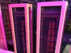 O que você precisa saber sobre a construção de uma sauna ao ar livre (2026)