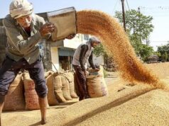 Congresso e órgãos de agricultores criticam o governo do MP por atraso na aquisição de trigo; BJP culpa falta de sacolas devido à guerra na Ásia Ocidental