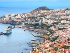 Pesadelo de férias em família se desenrola com criança hospitalizada após queda em navio de cruzeiro