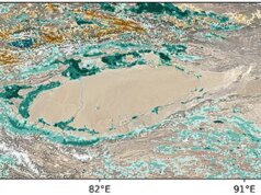 A China está tentando cultivar novas florestas neste notório megadeserto. Está funcionando