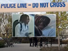 Adolescente de Nova York morto a tiros na quadra de basquete do Queens enquanto transeuntes filmavam; polícia procura por atirador