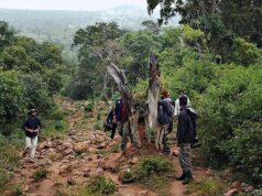 Telangana implantará sistema baseado em IA para operações de vigilância na reserva de tigres de Amrabad