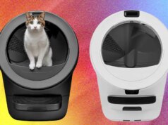 Qual caixa sanitária automática é a melhor? Testamos a programação do Litter-Robotic