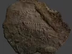 Uma estrutura de 1.000 anos encontrada no mar da Noruega pode revelar como as baleias já foram presas