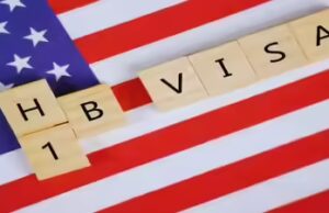 Foi escolhido na loteria H-1B: Redditor quer voltar para a Índia, diz ‘se sentindo estranhamente triste e confuso’