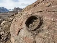 Um pequeno buraco na Groenlândia revela como as criaturas sobreviveram a climas extremos há 210 milhões de anos