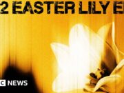 Easter Lily do U2 é seu segundo EP surpresa este ano