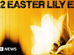 Easter Lily do U2 é seu segundo EP surpresa este ano