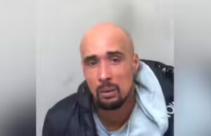 Agredido até a morte por cães valentões XL: rapper do Reino Unido preso pela morte deadly da sogra em ataque canino