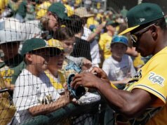 Uma nova pesquisa revela a base de fãs mais desbocada da MLB