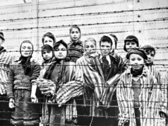 Pesquisa revela que quase um terço dos residentes de Lengthy Island dizem que os judeus deveriam ‘seguir em frente’ do Holocausto