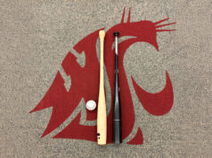 ‘Madeira é madeira’: pesquisa da WSU descobre que os morcegos ‘torpedos’ virais dos Yankees têm o mesmo desempenho que os morcegos tradicionais