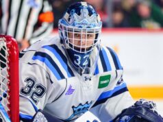 Relatório de perspectivas: Por que os senadores escolhem Lucas Beckman está brilhando na rede