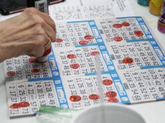 Isso é um bingo!