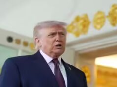 O bispo Barron, amigo do MAGA, diz que Trump deve um pedido de desculpas ao papa: ‘Nenhum presidente em minha vida…’