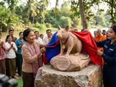 Camboja homenageia seu mais famoso rato farejador de minas terrestres, Magawa, com uma estátua