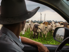 Amantes de churrasco, cuidado: o conflito no Oriente Médio pode atrapalhar seus planos para o verão deste ano