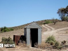 Mulher presa em cocô por três horas após banheiro no inside desabar