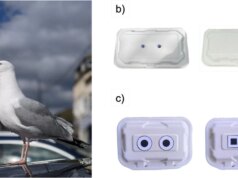 Este truque ridiculamente simples pode impedir que as gaivotas roubem seu almoço