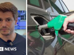 Assista: Quando os preços dos combustíveis cairão?