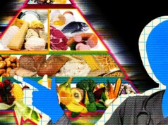 A nova IA da Meta pediu meus dados brutos de saúde – e me deu conselhos terríveis