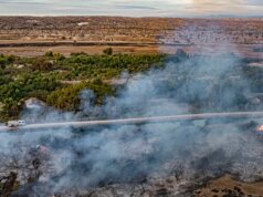 Quase metade dos EUA estão expostos a níveis prejudiciais à saúde de poluição do ar: Relatório
