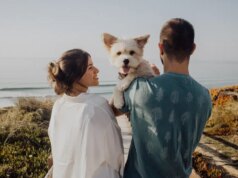 Os viajantes discordam sobre se as empresas de cruzeiro deveriam permitir cães e gatos a bordo ou não