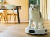 Esses 5 erros comuns de aspirador de robô estão sabotando seu caro ajudante doméstico