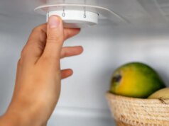 Sua geladeira continua congelando seus vegetais? Veja como eu consertei