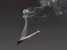 Experimentei um purificador de ar projetado para filtrar maconha e fumaça de cigarro