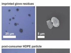 Um erro embaraçoso pode ter distorcido a pesquisa sobre microplásticos o tempo todo