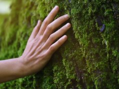 Pageant de natureza inglês deixa o importante esclarecimento de que não é para nudistas