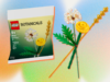 O Lego grátis do closing de abril é um lindo buquê de flores do campo da coleção Botanicals